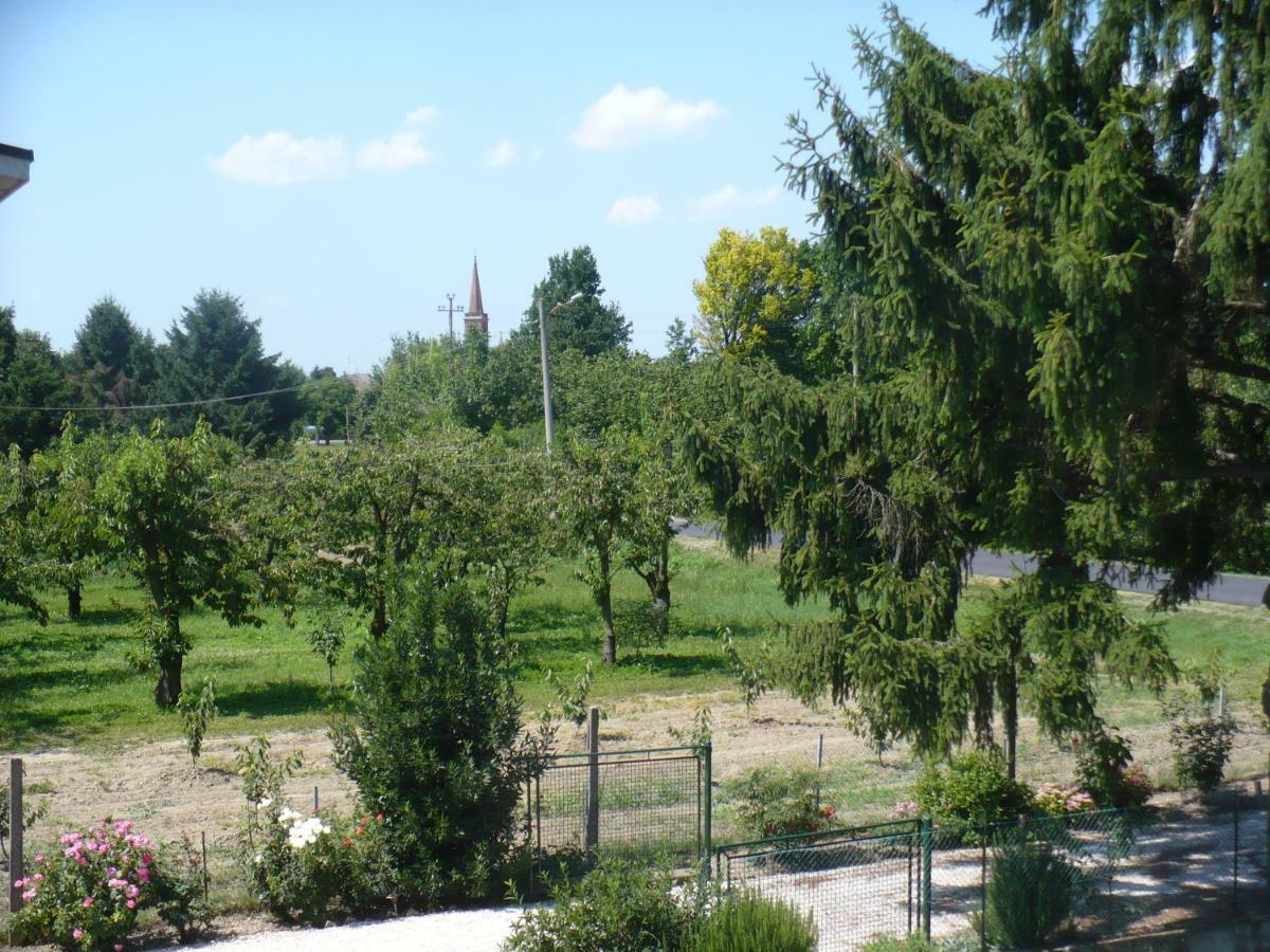 L'Albero Della Gioia Villanova sull'Arda Exterior foto